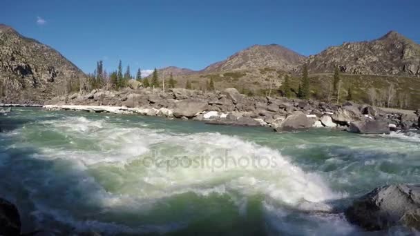 Wiosna wysoka woda na rzece Katun — Wideo stockowe