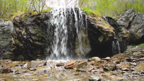 Вода водопада Крик Алтай — стоковое видео