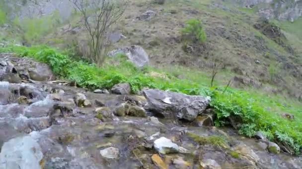 Arroyo agua hierba montañas — Vídeos de Stock