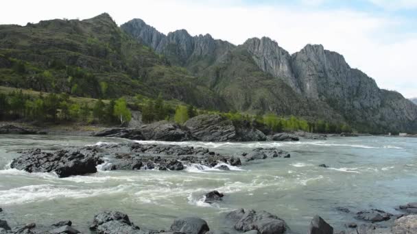 Yelandin jeram. Sungai Katun. Altai Rusia . — Stok Video