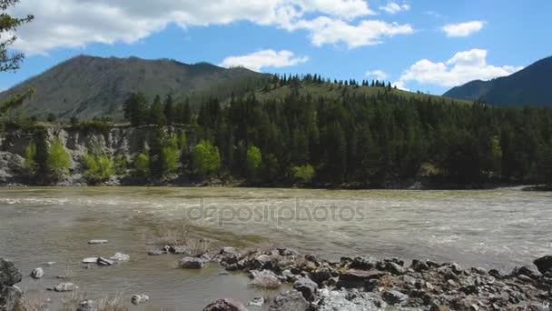 Rio da montanha Katun. Altai Rússia . — Vídeo de Stock