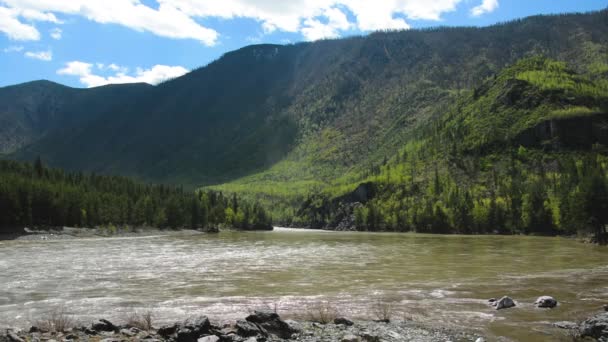 Dağ nehir Katun. Altay Rusya. — Stok video