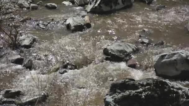 Spring Creek water stones River — Stock Video