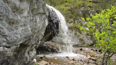 şelale Creek Altay su