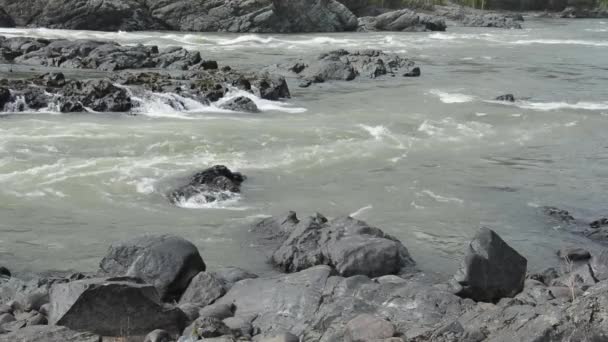 Yelandin rapids on Katun River — Stock Video