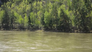 dağ nehir Katun. Altay Rusya.