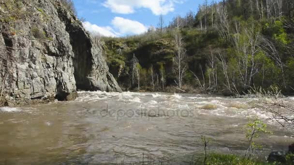 Springflut fließt in den Gebirgsfluss Ursul. — Stockvideo