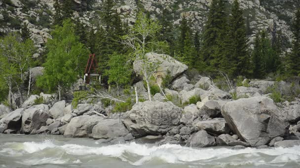 海岸や水の中の岩の上の木。Ilgumen のしきい値. — ストック動画