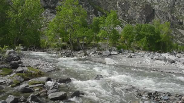 Vagues, mousse, pulvérisation dans le ruisseau Ilgumen — Video