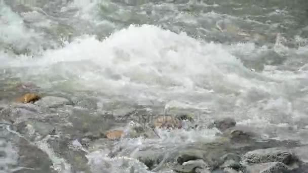 Hullámok, hab, spray a Katun-folyó patak — Stock videók