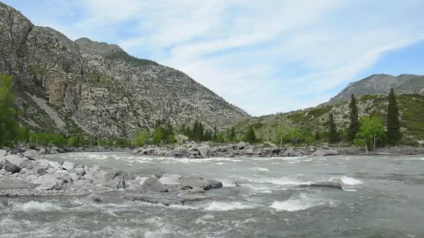 Rio Katun nas montanhas Altai. Sibéria, Rússia — Vídeo de Stock