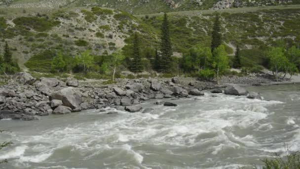 Arbres sur le rivage et rochers dans l'eau. Les seuils Ilgumen . — Video