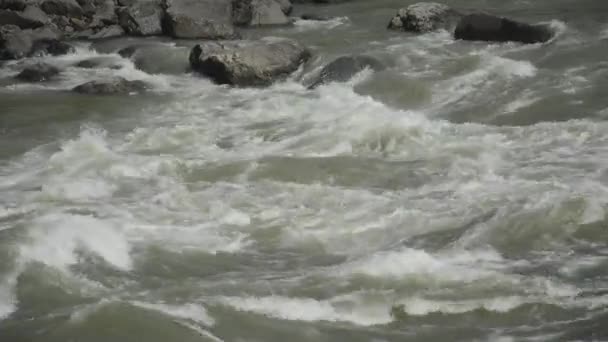 Waves, foam, spray in the stream of the Katun River — Stock Video