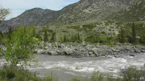 Река Катунь в горах Алтая. Сибирь, Россия — стоковое видео