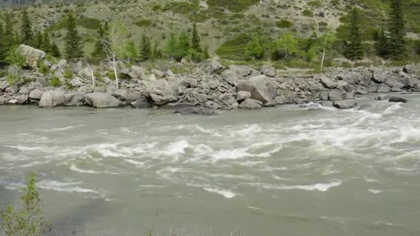 Arbres sur le rivage et rochers dans l'eau. Les seuils Ilgumen . — Video