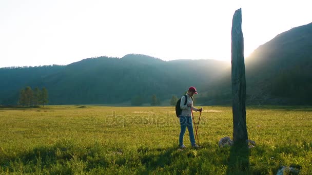 Turista mujer examina antiguas piedras del período túrquico en las montañas de Altai — Vídeos de Stock