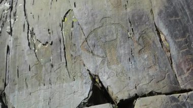sitede Kalbak-Tash Altay dağlarında bulunan antik petroglifler