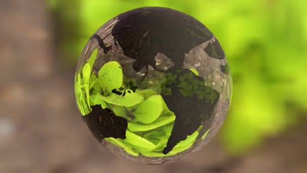 Ekologie prostředí návrhu koncepce, skleněné koule v zelené trávě