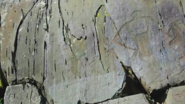sitede Kalbak-Tash Altay dağlarında bulunan antik petroglifler