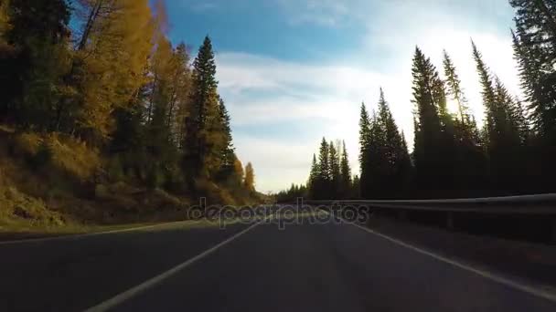 Rijden over een rustige landelijke snelweg tijdens de dag in de herfst. — Stockvideo