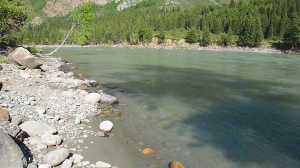 Spring River Katun, Altai Mountains, Siberia Russia — Stock Video