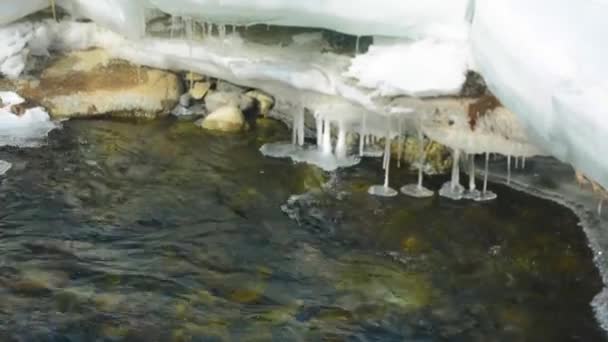 El flujo de agua en el río no está congelado — Vídeos de Stock