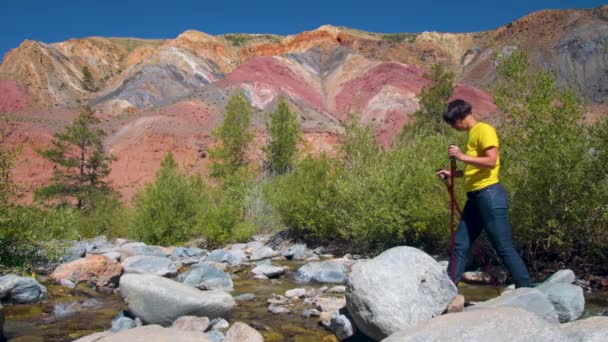 Une voyageuse traverse une rivière de montagne avec des bâtons suédois sur le fond de très belles montagnes — Video