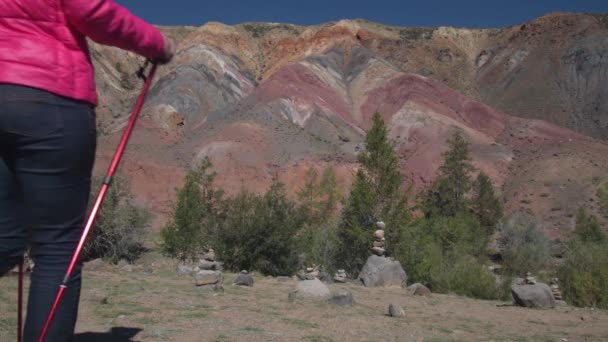 Una viaggiatrice cammina lungo un sentiero con bastoni svedesi accanto a montagne molto belle — Video Stock