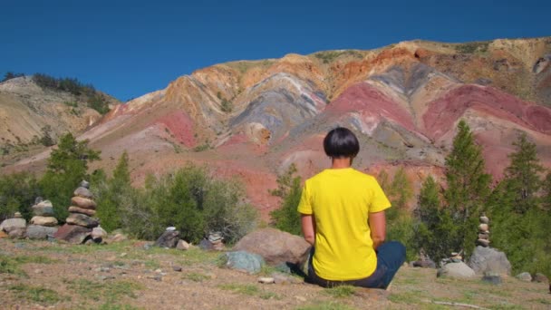 Una viajera se sienta en un enorme tronco de árbol y medita en las hermosas montañas — Vídeos de Stock