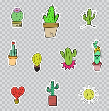 Kaktüs bitkileri ile yama rozetleri