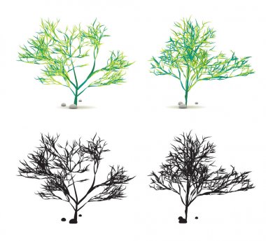 Yosun Yosun Yosun El Taşlı Su Bitkisi Vektör 'de Siluet ile beyaza sabitlendi