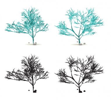 Yosun Yosun Yosun El Taşlı Su Bitkisi Vektör 'de Siluet ile beyaza sabitlendi