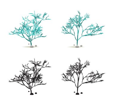 Yosun Yosun Yosun El Taşlı Su Bitkisi Vektör 'de Siluet ile beyaza sabitlendi