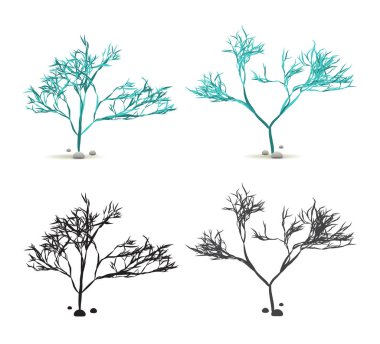 Yosun Yosun Yosun El Taşlı Su Bitkisi Vektör 'de Siluet ile beyaza sabitlendi