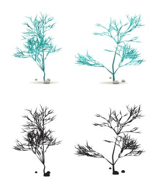 Yosun Yosun Yosun El Taşlı Su Bitkisi Vektör 'de Siluet ile beyaza sabitlendi