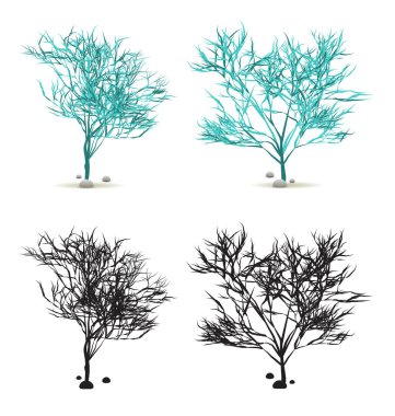 Yosun Yosun Yosun El Taşlı Su Bitkisi Vektör 'de Siluet ile beyaza sabitlendi