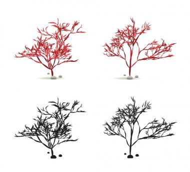 Yosun Yosun Yosun El Taşlı Su Bitkisi Vektör 'de Siluet ile beyaza sabitlendi