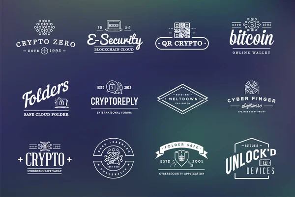 Conjunto Emblemas Sinais Identidade Segurança Cibernética Vetorial Pode Ser Usado —  Vetores de Stock