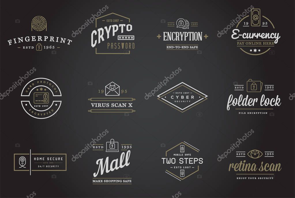 Set of Vector Cyber Security Identity Badges and Signs Can be used as Logotype