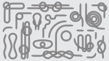 Büyük bir deniz ayarla ip knot dekoratif vintage öğeler vektör