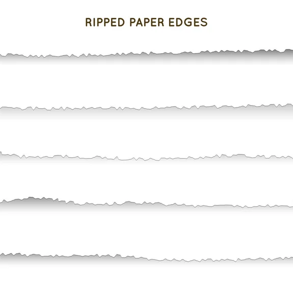 Set Gescheurd Gescheurd Papier Strepen Textuur Van Papier Met Rand — Stockvector