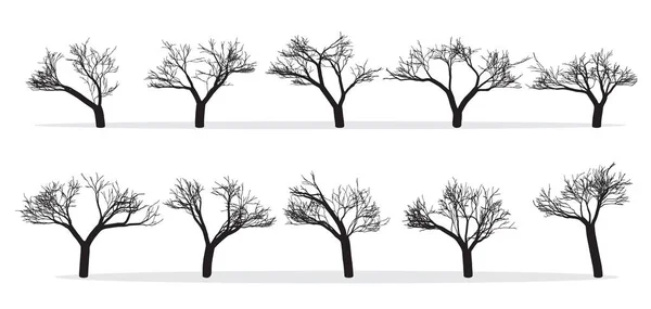 Naked Trees Silhouettes Set Hand Drawn Isolated Autumn Spring Fall — Stock Vector