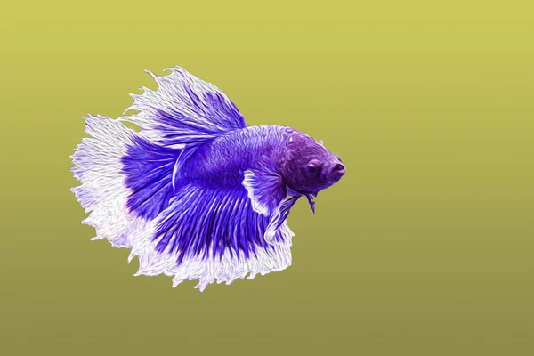 Abstract purple Betta Splendens white tail with oil paint onYell — Stock Photo, Image