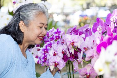 Yaşlı bir kadın gülümsüyor ve büyük pembe orkide çiçeklerine bakıyor. Mutluluk, fotokopi alanı, emeklilik konseptinden sonraki son sınıf öğrencileri.