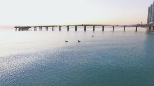 Hermosa toma aérea diurna sobre Ocean and Pier — Vídeos de Stock