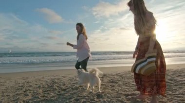 Anne ve genç kız sahilde köpekleriyle oynuyorlar.