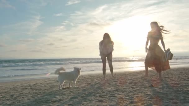 Moeder en dochter spelen met hun schattige hond op het strand — Stockvideo