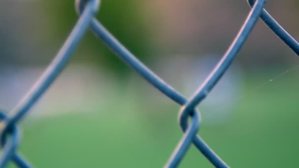 Bulanık arkaplanı olan metal çitin yakın çekimi — Stok video