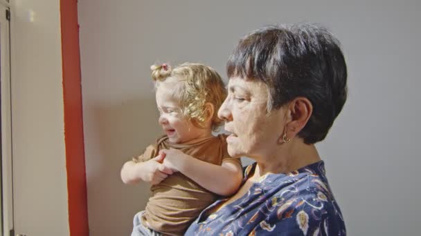Babcia i dziecko wyglądające przez okno — Wideo stockowe