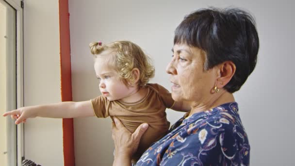 Αργή κίνηση της γιαγιάς και του μωρού κοιτάζοντας έξω από το παράθυρο — Αρχείο Βίντεο